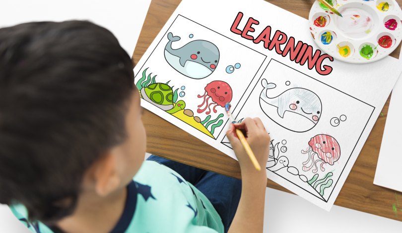 7 Reasons Why Practical Learning Is Important To Students