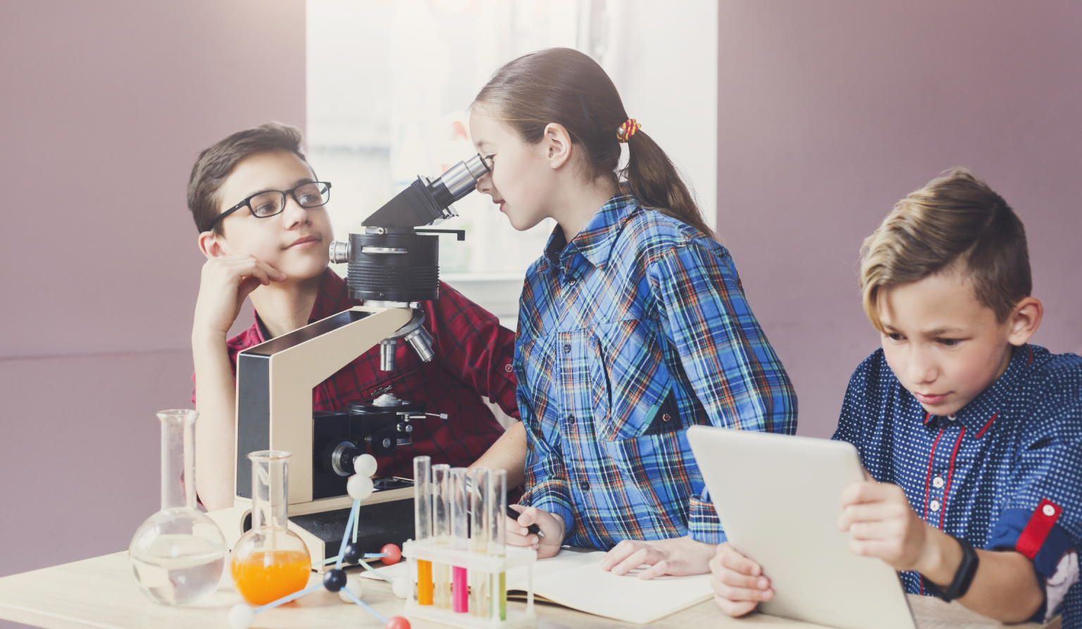 12 science experiments for young students learning the field.